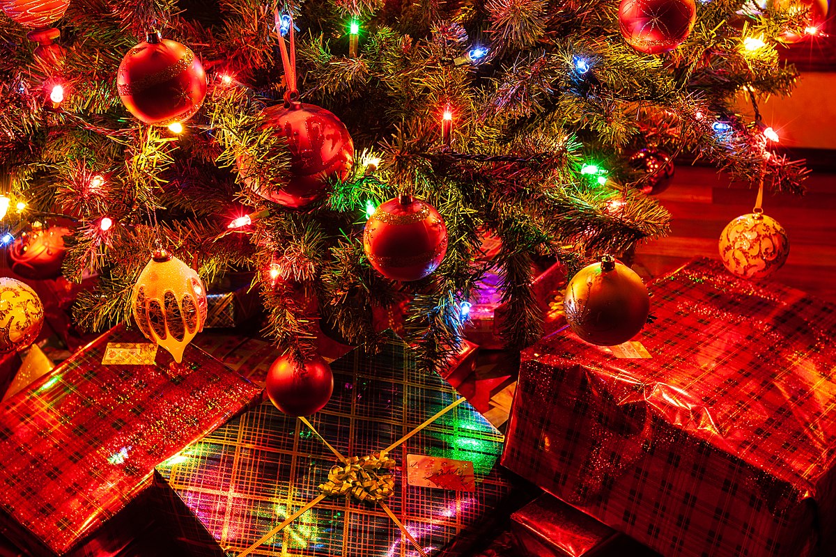Christmas Trees and Etymologies