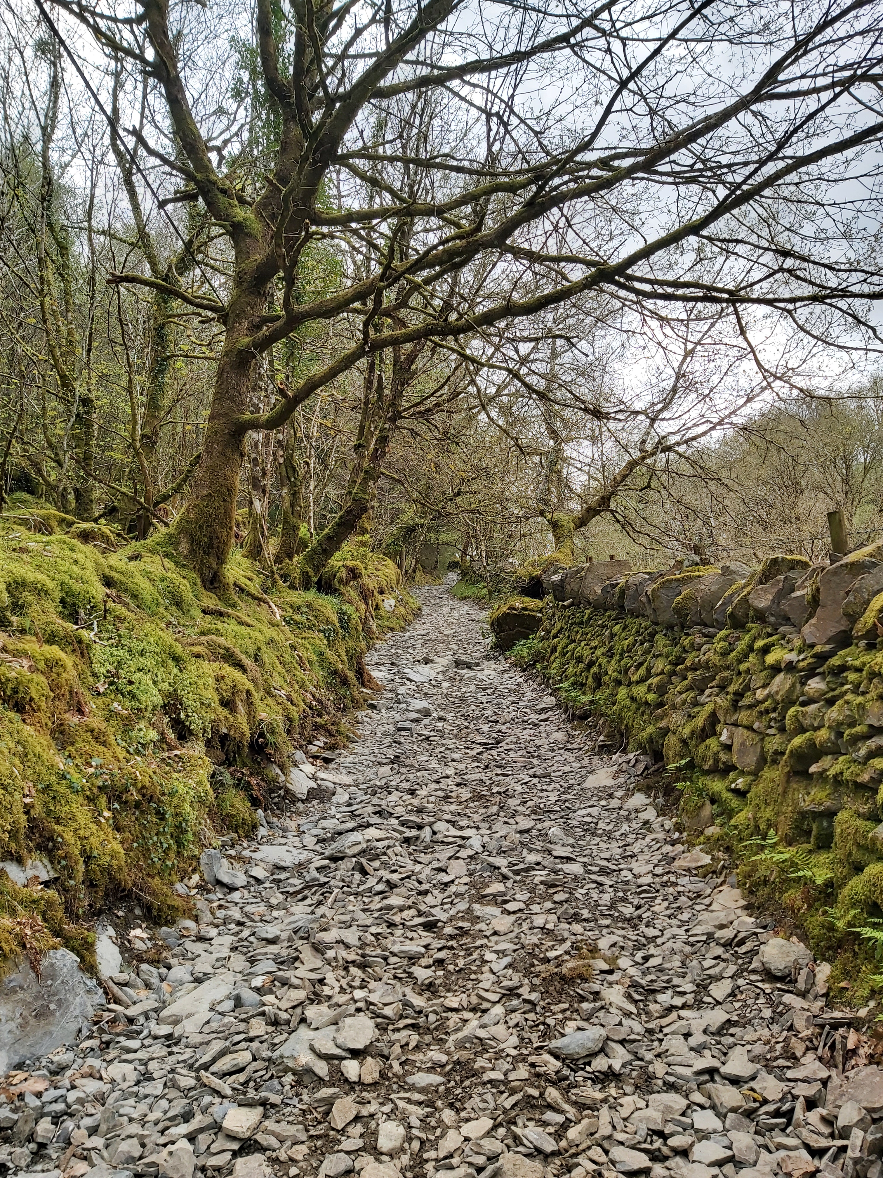 The Path of ‘Path’
