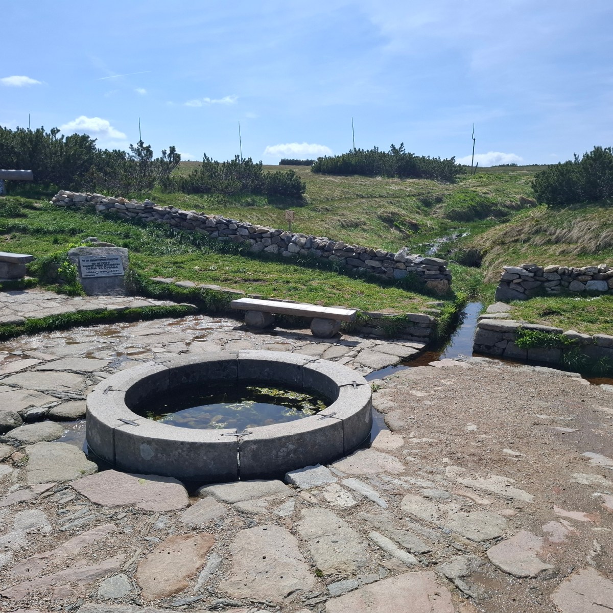 The Liquid of the&nbsp;Elbe