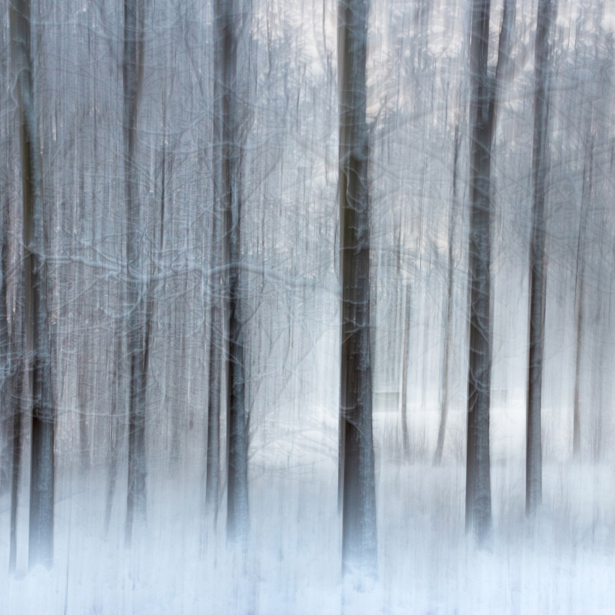 Cool Etymology: Chilled Jelly and Cold&nbsp;Gelato